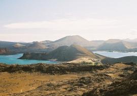 Galapagos