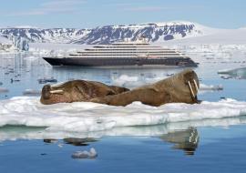 Arctic cruises