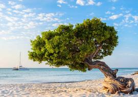 Aruba