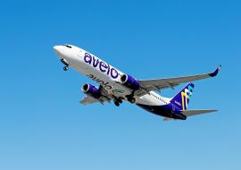 Avelo