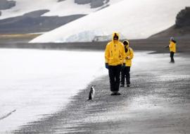 Beaches of Antarctica