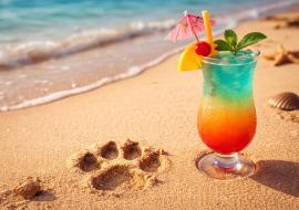 Pawprint Economy and Mixology