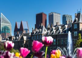 The Hague