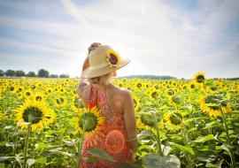 summer travel