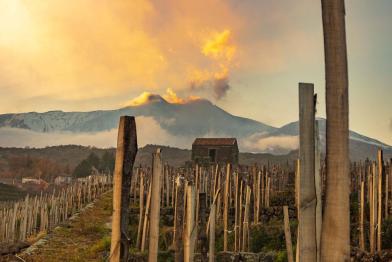 Etna winneries